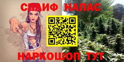 сатива Сланцы